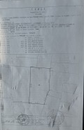 Продава ЗЕМЕДЕЛСКА ЗЕМЯ, гр. Пловдив, област Пловдив, снимка 2