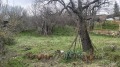 Продава КЪЩА, област Стара Загора, с. Казанка • 39000 € • 38888285 — Holmes.bg