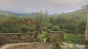 ����� ������� ���������,��. �����, ������ �����