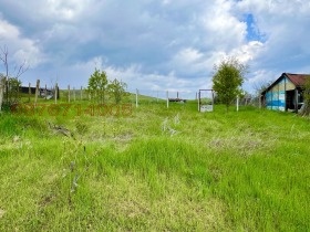 ����� ������� ������,���� ������, ������