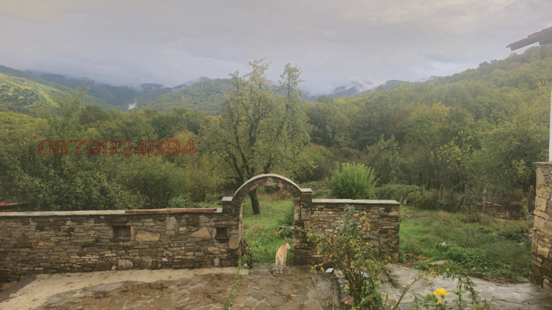 Продава ЗАВЕДЕНИЕ, гр. Троян, област Ловеч, снимка 2 - Заведения - 52997246