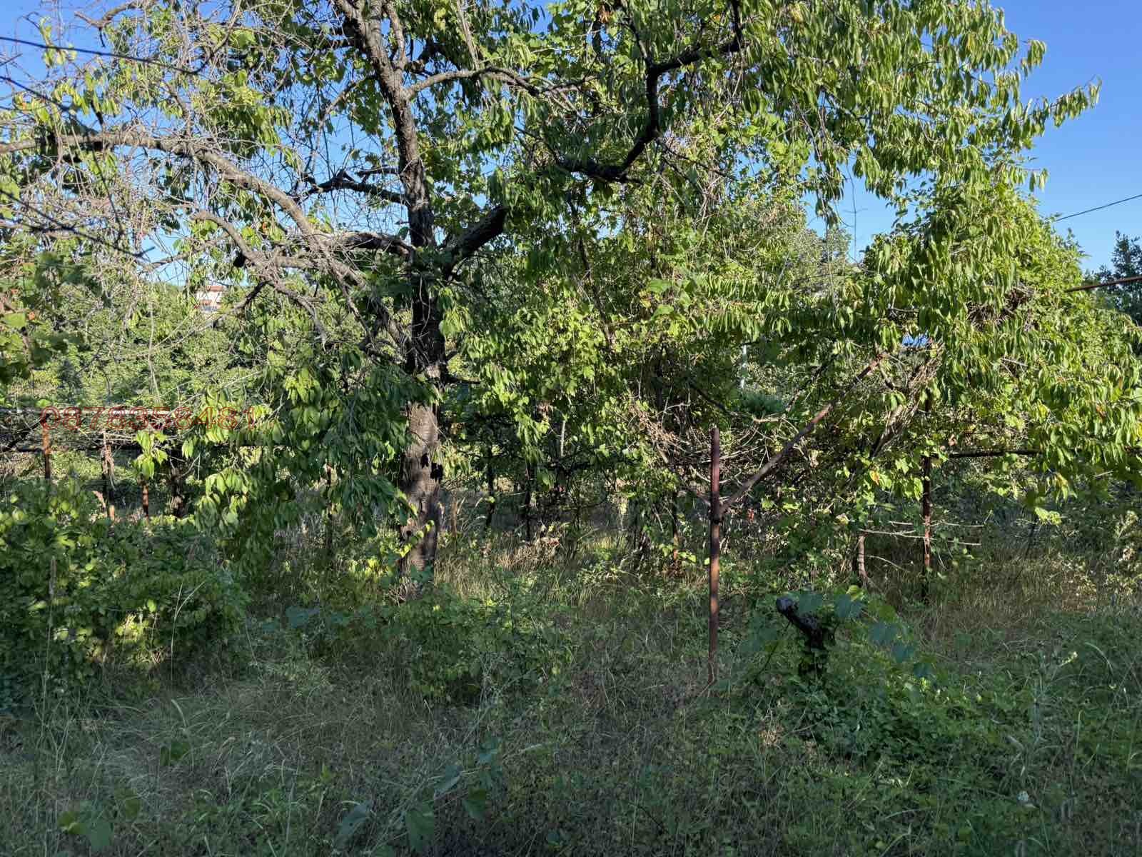 Продава ПАРЦЕЛ | Imot.bg — изображение 1