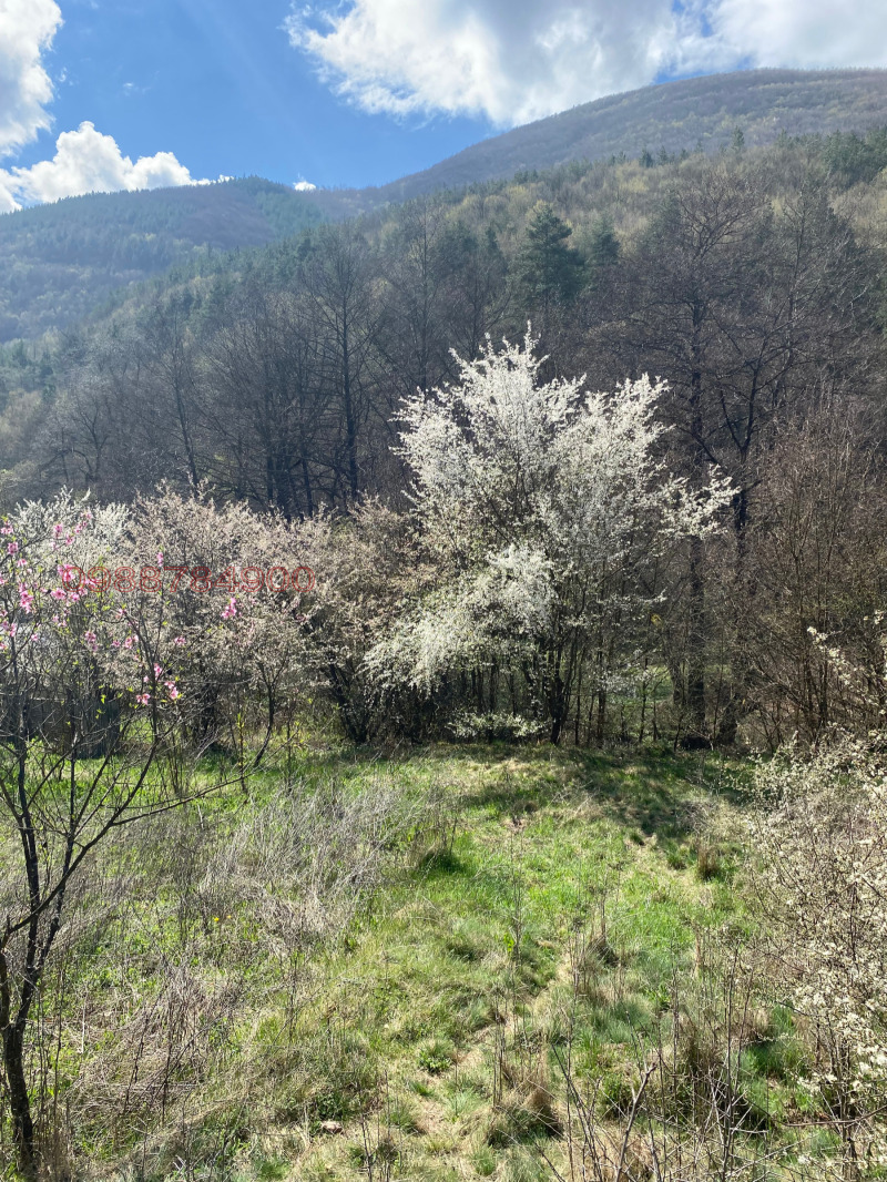 Til salg  Grund region Sofia , Svidnya , 615 kvm | 22050160 - billede [4]