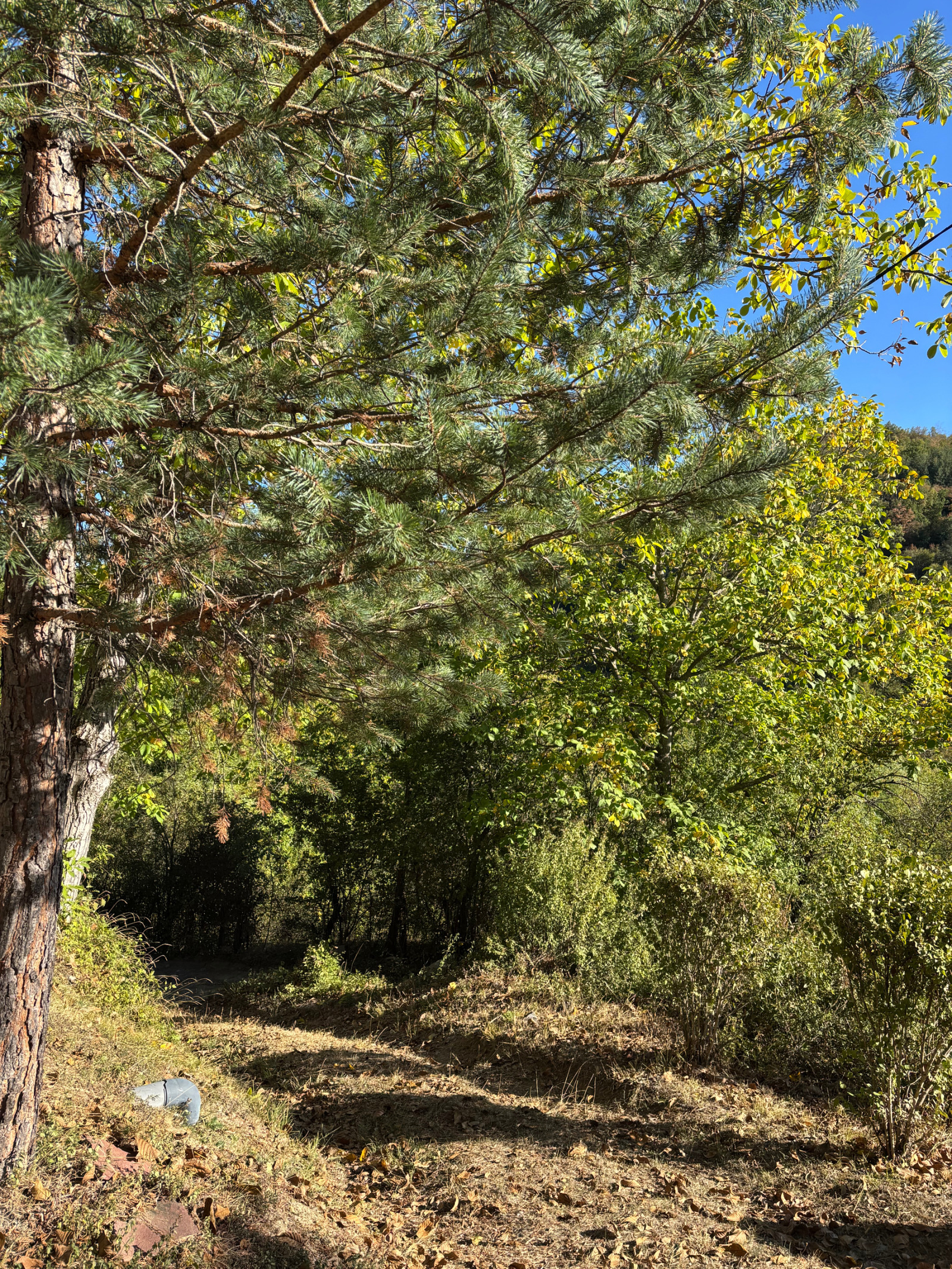 ������� ���� | Imot.bg � ����������� 16