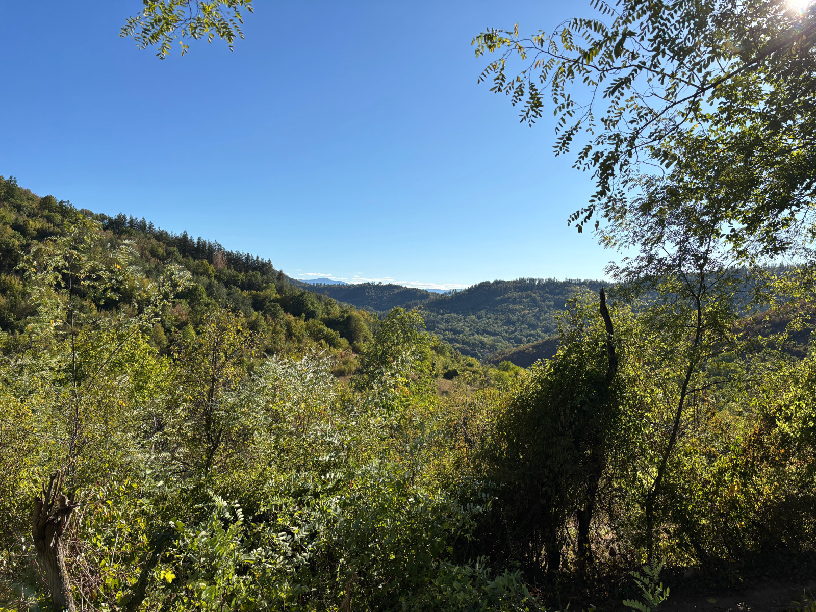 ������� ���� | Imot.bg � ����������� 14