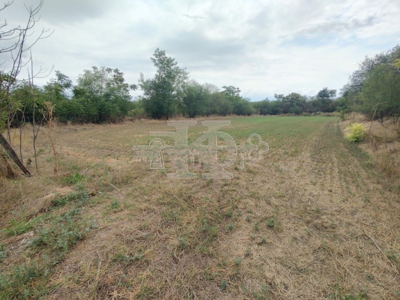 Продава  Къща област Добрич , с. Бдинци , 77 кв.м | 33791364 - изображение [12]