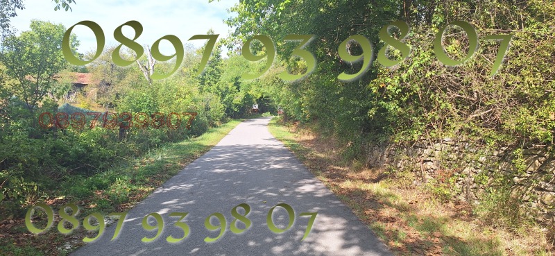 Продава ПАРЦЕЛ, с. Ялово, област Велико Търново, снимка 3 - Парцели - 52783829