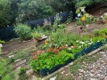 Продава КЪЩА, с. Сулица, област Стара Загора, снимка 2