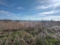Продава ПАРЦЕЛ, гр. Варна, м-т Боровец - юг, снимка 2