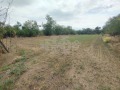 Продава КЪЩА, област Добрич, с. Бдинци • 34000 лв. • 43634022 — Holmes.bg
