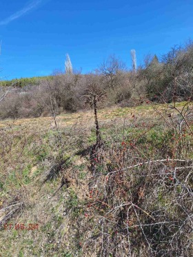 ������� ������ | Imot.bg � ����� ������ 3