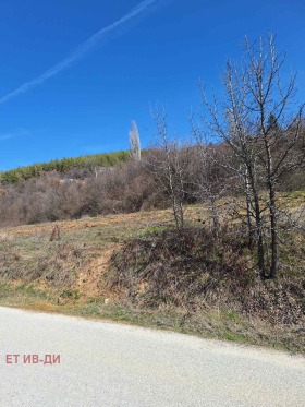 ������� ������ | Imot.bg � ����� ������ 5