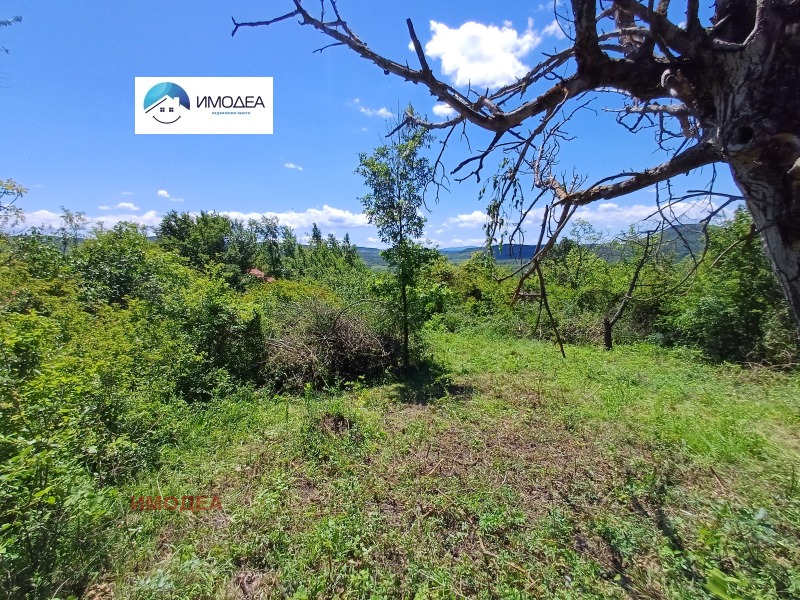 Na prodej  Vila oblast Gabrovo , Drjanovo , 20 m2 | 41672874 - obraz [4]