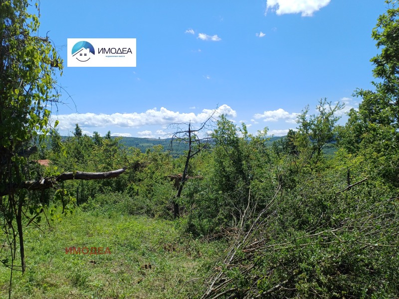 Na prodej  Vila oblast Gabrovo , Drjanovo , 20 m2 | 41672874 - obraz [3]