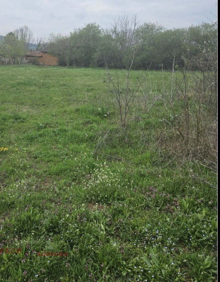 Eladó  Cselekmény régió Stara Zagora , Madzserito , 1147 négyzetméter | 75926747