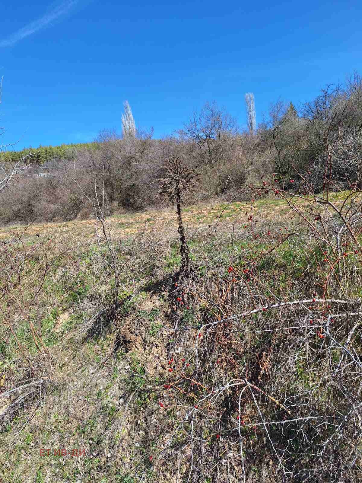 Продава ПАРЦЕЛ, с. Горна Василица, област София област, снимка 3 - Парцели - 53874641