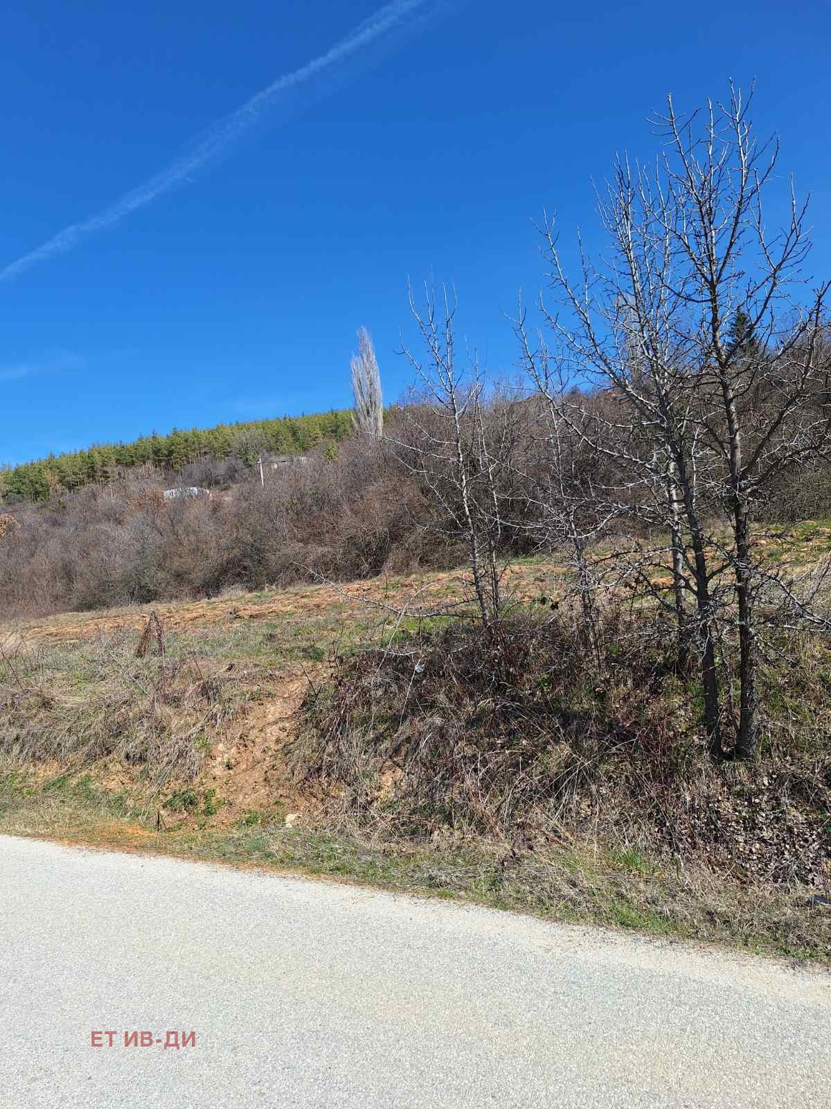 Продава ПАРЦЕЛ, с. Горна Василица, област София област, снимка 5 - Парцели - 53874641