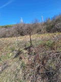 Продава ПАРЦЕЛ, с. Горна Василица, област София област, снимка 3