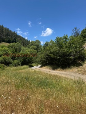 ������� ������ | Imot.bg � ����� ������ 10