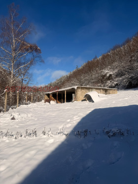 ����� ������� ������,�. ��������, ������ �����