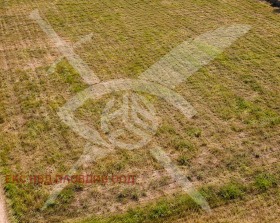 ����� ������� ������,�. ��������, ������ �������