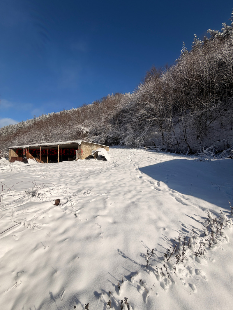 Продава ПАРЦЕЛ, с. Ябланица, област София област, снимка 12 - Парцели - 53192113