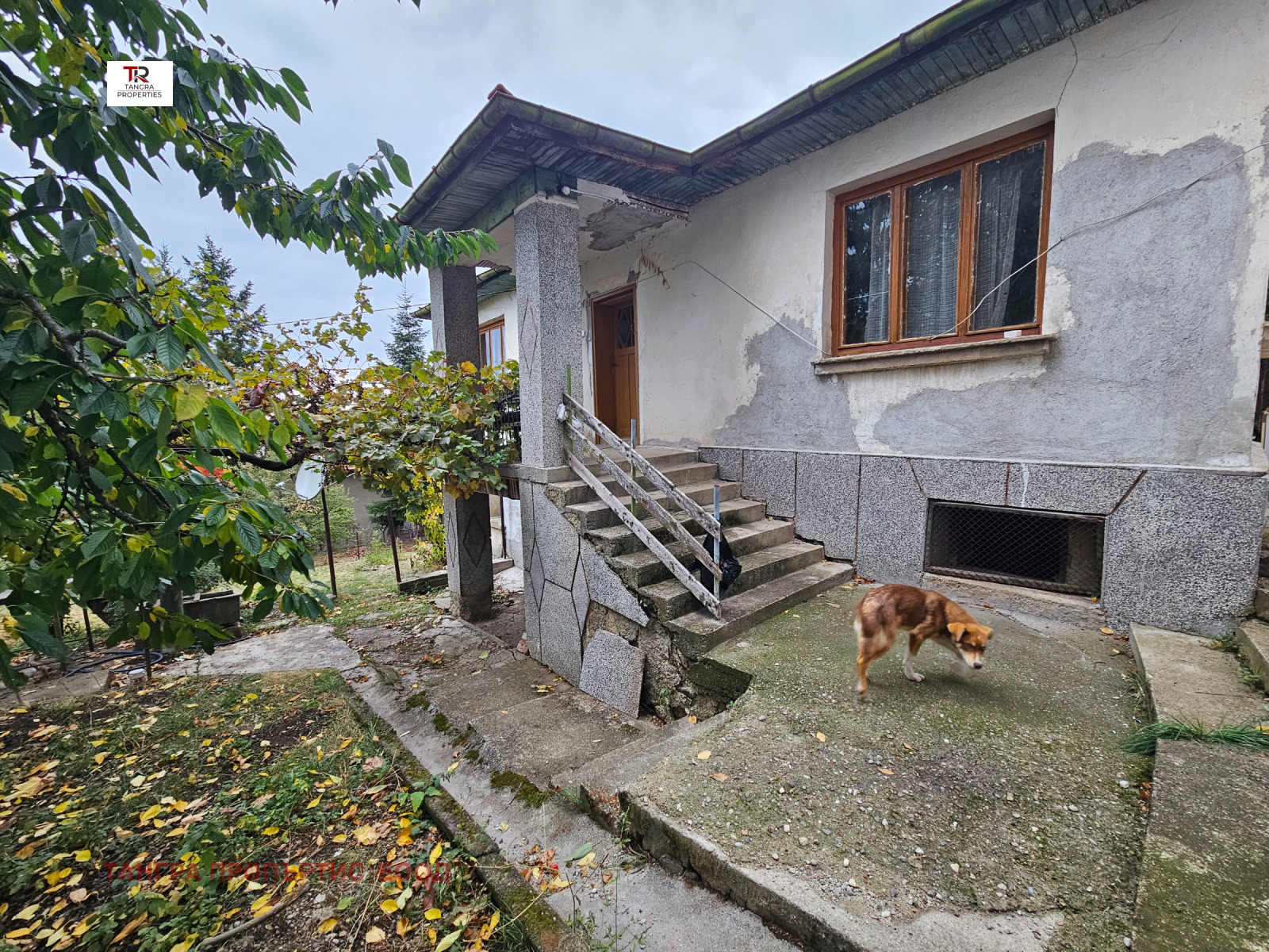 ������� ���� | Imot.bg � ����������� 1