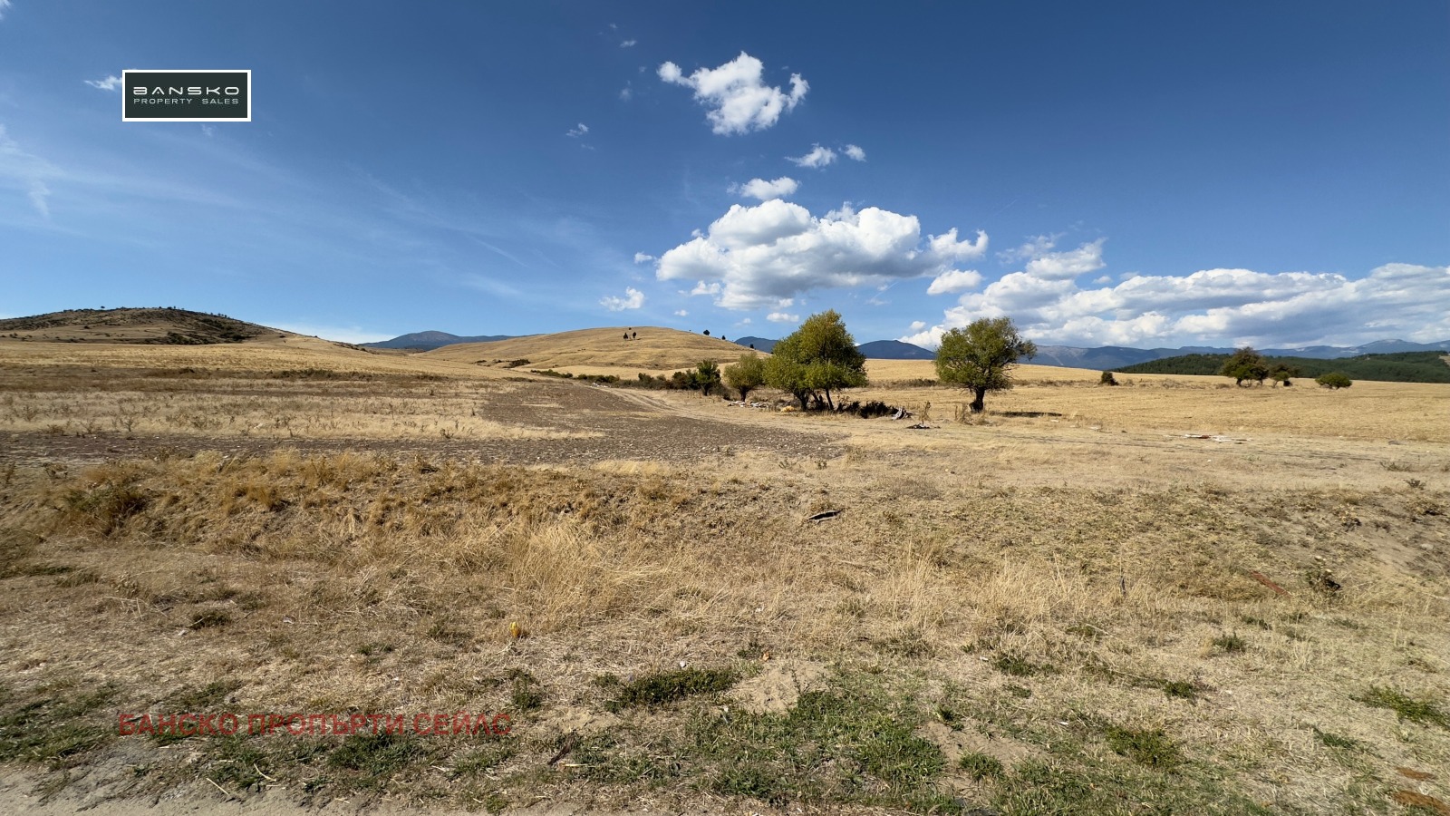 ������� ������ | Imot.bg � ����������� 3