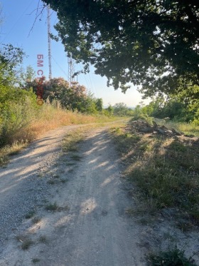 Eladó Cselekmény