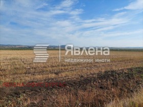 ������� ������ | Imot.bg � ����� ������ 8