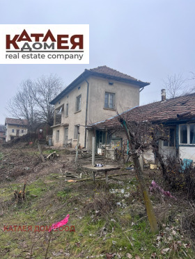 ����� ������� ����,�. ����� ����, ������ �����