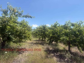 ������� ���������� ���� | Imot.bg � ����� ������ 5