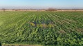 Продава ПАРЦЕЛ, с. Златитрап, област Пловдив, снимка 2