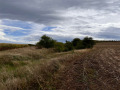Продава ПАРЦЕЛ, с. Хераково, област София област, снимка 2