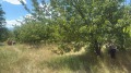 Продава ЗЕМЕДЕЛСКА ЗЕМЯ, с. Горна Гращица, област Кюстендил, снимка 3