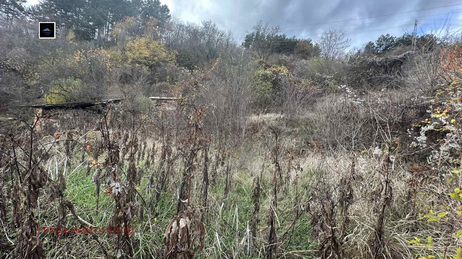 ������� ���� | Imot.bg � ����������� 16