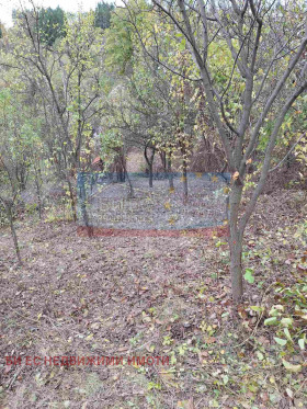 ������� ���� | Imot.bg � ����� ������ 15