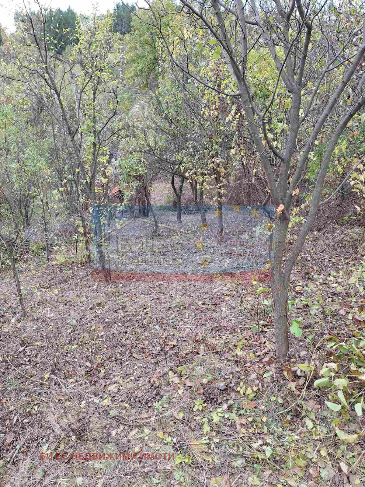 Продава КЪЩА, с. Кременик, област Кюстендил, снимка 15 - Къщи - 53640599