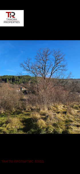 Handlung Gorna Dikanja, region Pernik 4