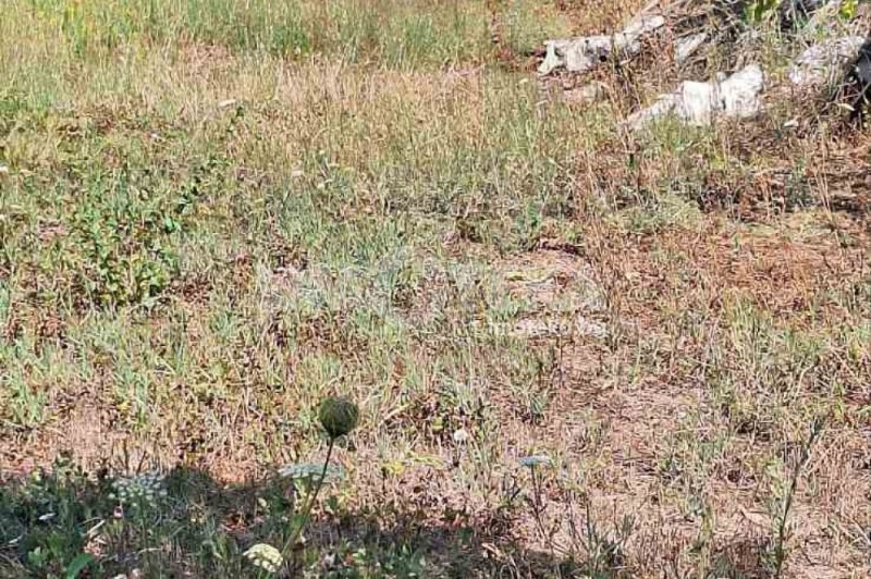 À venda  Trama Varna , m-t Pertchemliiata , 624 m² | 44315745 - imagem [11]