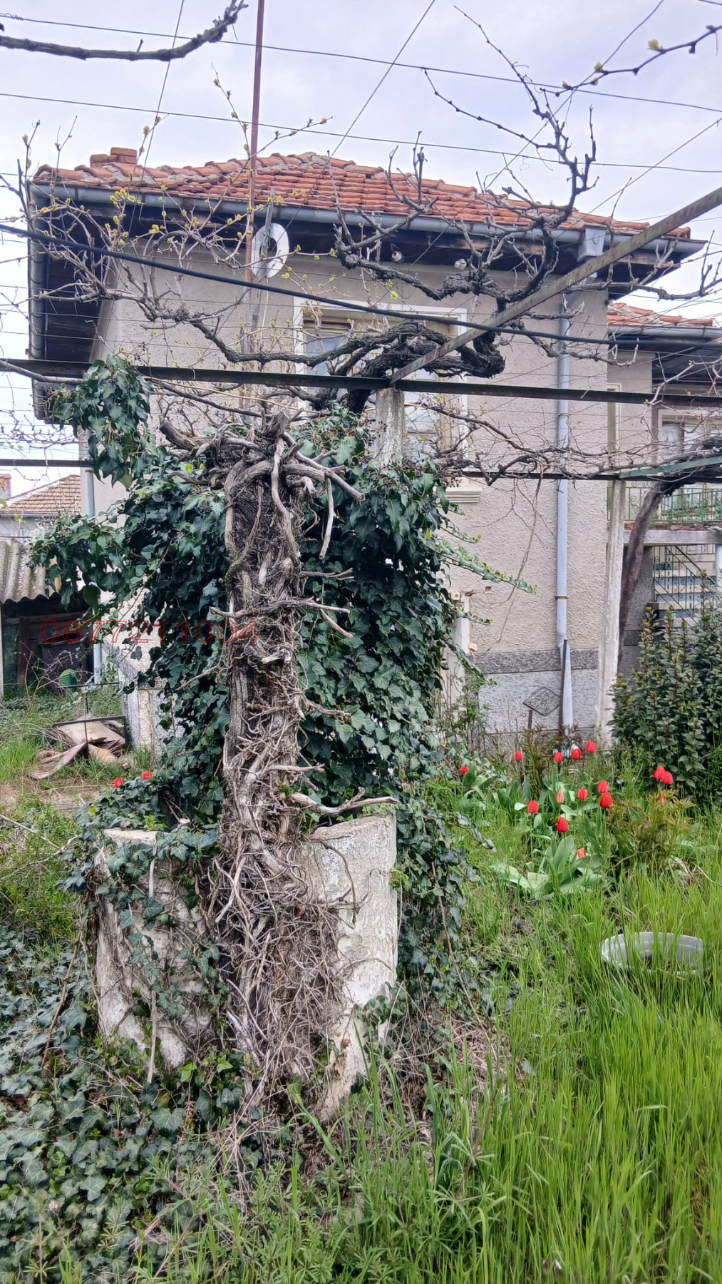 ������� ���� | Imot.bg � ����������� 2