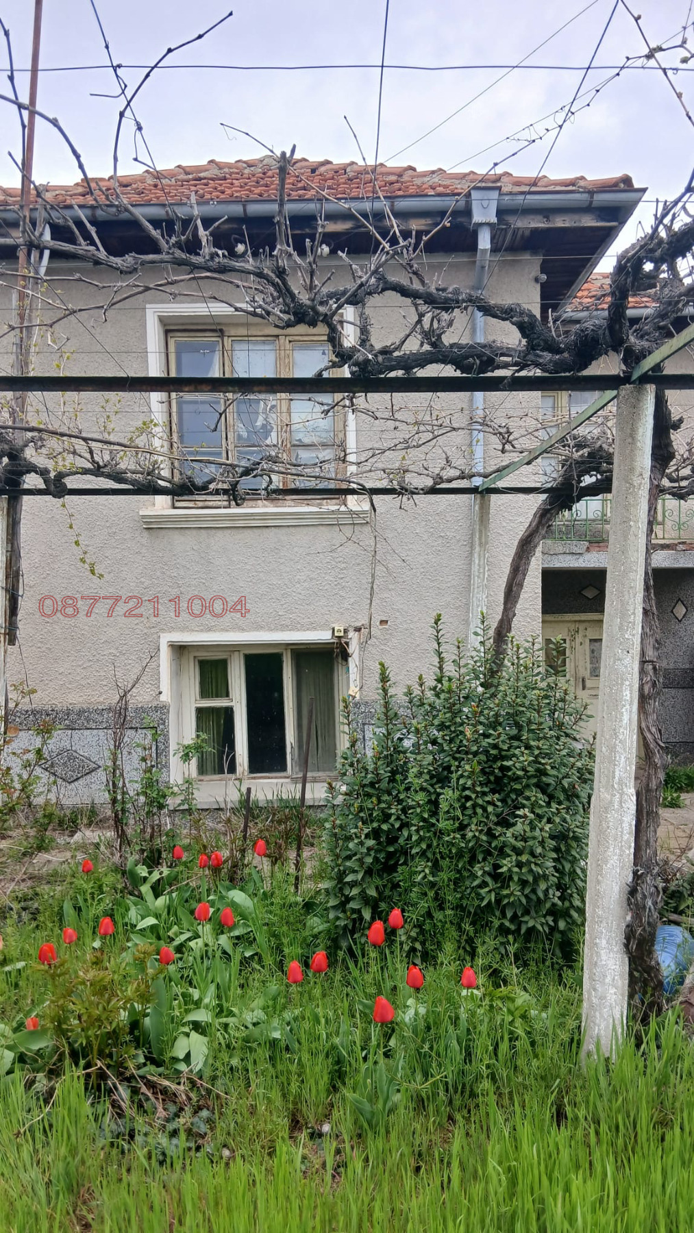 ������� ���� | Imot.bg � ����������� 11