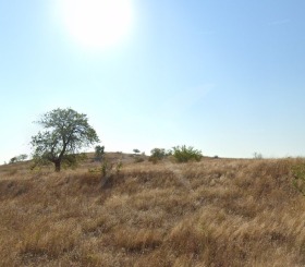 Парцел с. Тънково, област Бургас