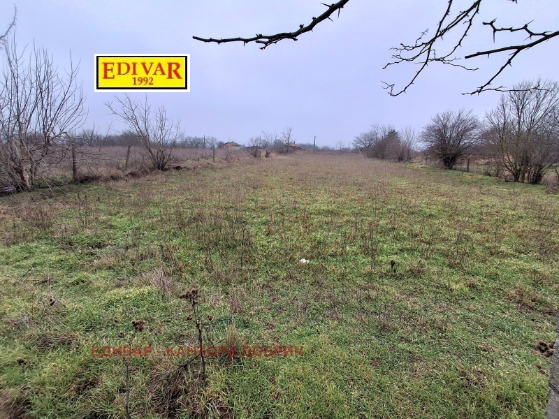 Продава ПАРЦЕЛ в област Добрич, с. Методиево - 1200 кв.м / 8 000 € » 15 646.64 лв., ЕДИВАР - КАНТОРА ДОБРИЧ