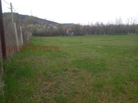 ����� ������� ������,�. ����� ������, ������ ������