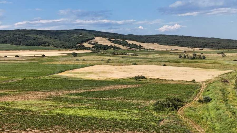 Продава ПАРЦЕЛ, с. Белчин, област София област, снимка 5 - Парцели - 52120945