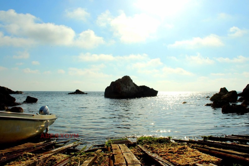 Продава КЪЩА, с. Тюленово, област Добрич, снимка 3 - Къщи - 52660718