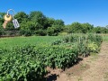 Продава  Къща област Плевен , с. Бохот , 75 кв.м | 10974357 - изображение [5]