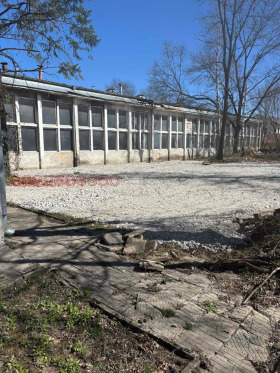 ������ ������� ����. ���������