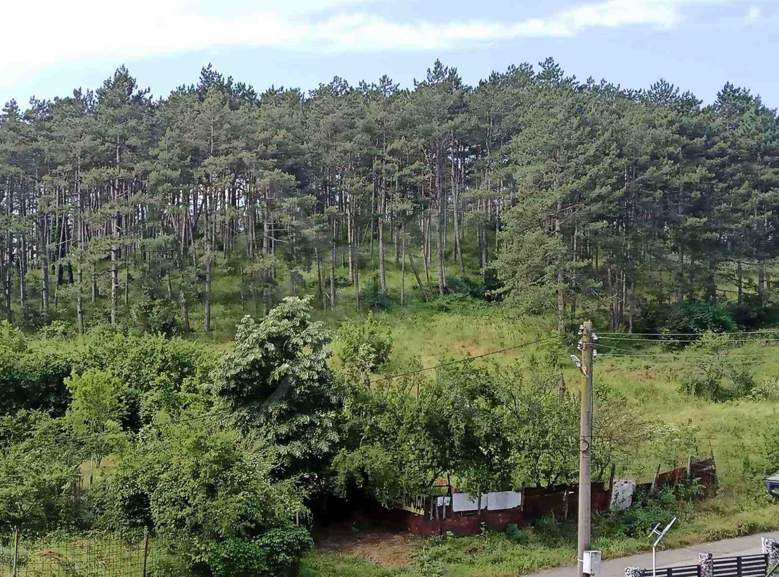 Продава 2-СТАЕН, гр. Средец, област Бургас, снимка 9 - Апартаменти - 55084721